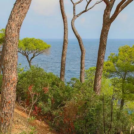 Allegroitalia Elba Capo D'arco 3*